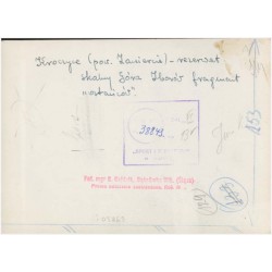 "Kroczyce (pow. Zawiercie) - rezerwat skalny Góra Zborów fragment "ostańców"."