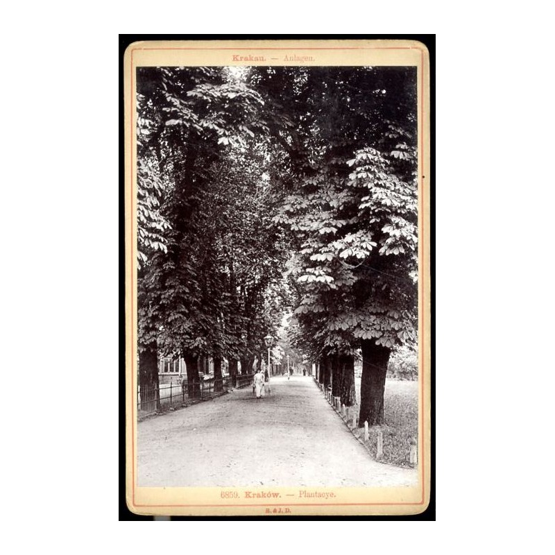 "6859. Kraków. - Plantacye. Krakau. - Anlagen."