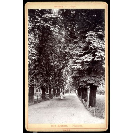"6859. Kraków. - Plantacye. Krakau. - Anlagen."