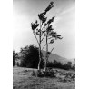 "Teschener Beskiden: Wetterkamm auf dem Bergkamm. Kozubowa b. Jablunkau"