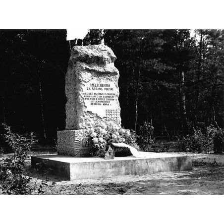 "p. N.Tomyśl Bolewicko - Pom. Pomordowanych 31-2668 1969"