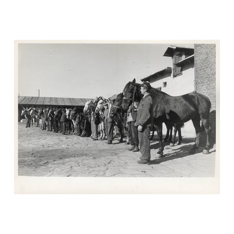 Zestaw 5 fotografii firmy "BACUTIL" we Lwowie