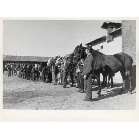 Zestaw 5 fotografii firmy "BACUTIL" we Lwowie