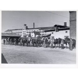 Zestaw 5 fotografii firmy "BACUTIL" we Lwowie