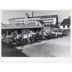 Zestaw 5 fotografii firmy "BACUTIL" we Lwowie