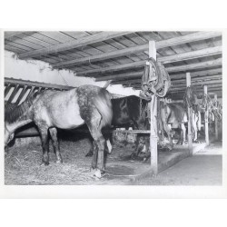 Zestaw 5 fotografii firmy "BACUTIL" we Lwowie