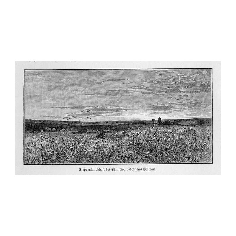 "Steppenlandschaft bei Strusów, podolisches Plateau."