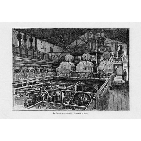 "Der Sudsaal der erzherzoglichen Zuckerfabrik in Chybi."