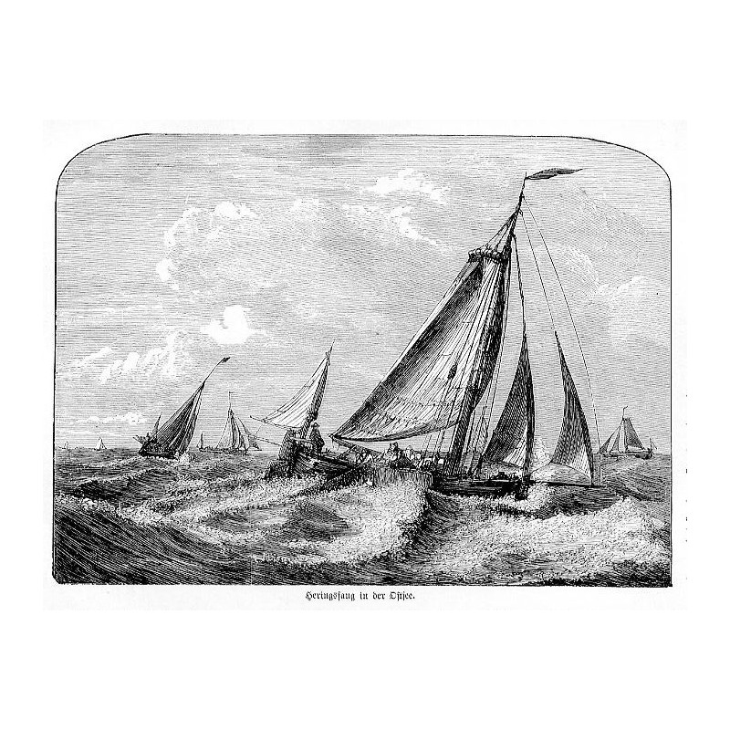 "Heringsfang in der Ostsee."