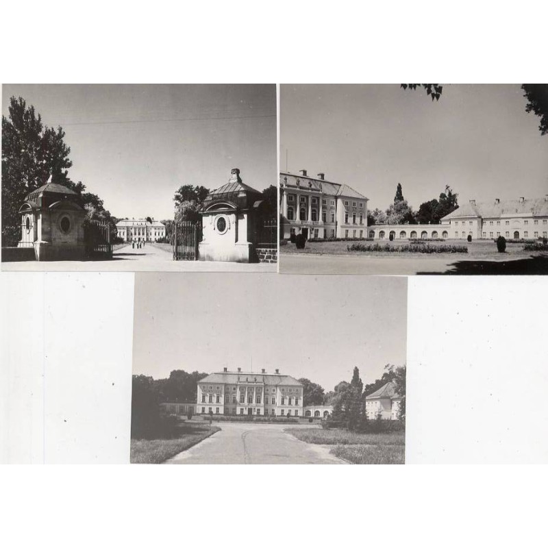 Pawłowice. Pałac