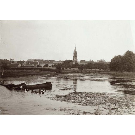 "Pl. 916 Regenwalde Blick a.d. Rega."