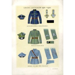 Ubiór Lotników 1918-1920. Kongresówka I Małopolska. Wielkopolska. Armia Polska we Francji / "UBIÓR LOTNIKÓW 1918-1920. KONGRESÓW