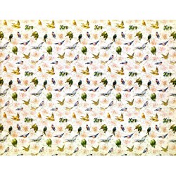 Wyklejka z ptakami "ornitologiczna"