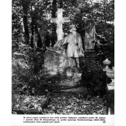 "(6) Cmentarz Powązkowski w Warszawie" / Ignacy Komorowski