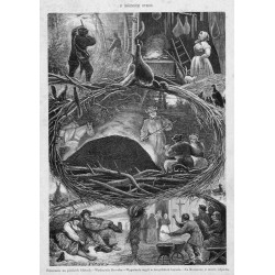 "Polowanie na pińskich błotach. - Wędzarnia litewska. - Wypalanie węgli w żmujdzkich borach. - Na Mazowszu w czasie odpustu."