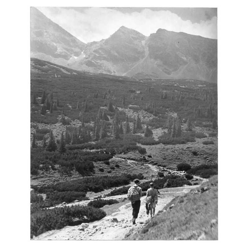 Tatry