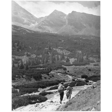Tatry