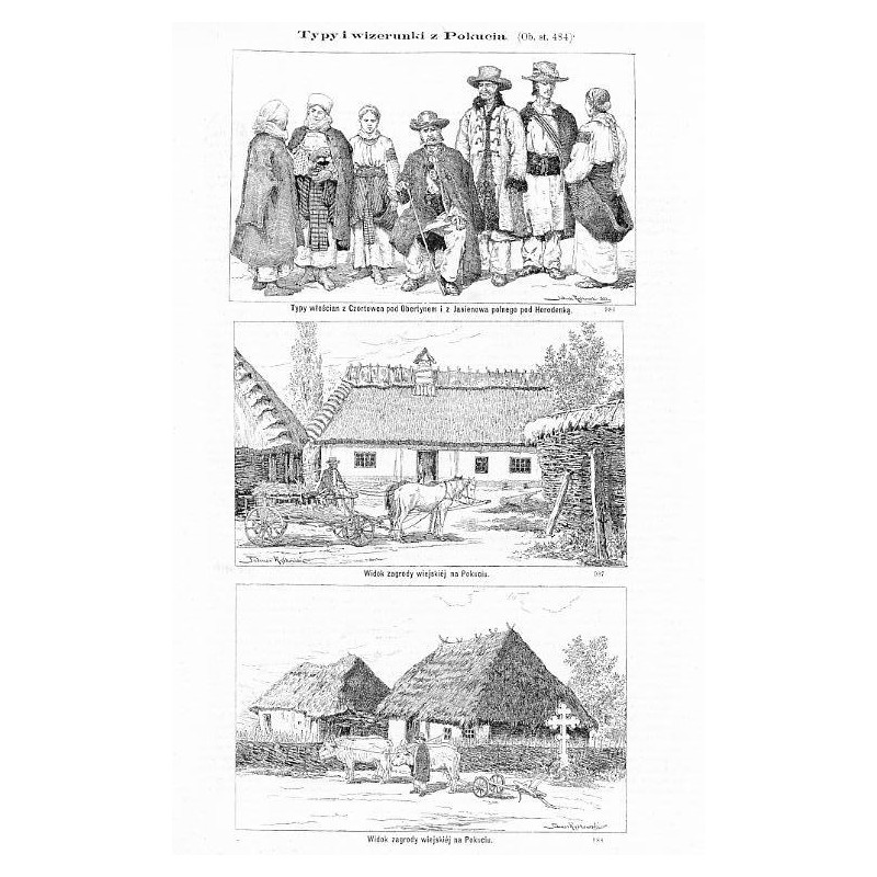 "Typy i wizerunki z Pokucia [...]" [1] "Typy włościan z Czortowca pod Obertynem i z Jasienowa polnego pod Horodenką. (986") [2]
