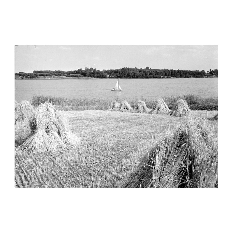 "Ślesin - Jezioro [...] 62 31-1049"