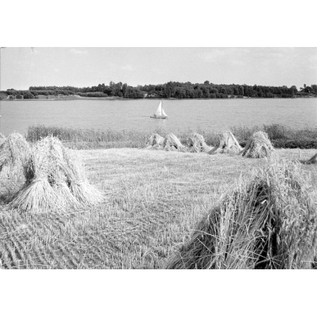 "Ślesin - Jezioro [...] 62 31-1049"