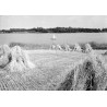 "Ślesin - Jezioro [...] 62 31-1049"