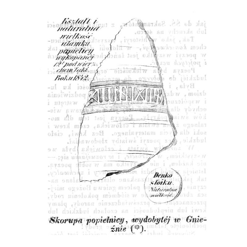"Skorupa popielnicy, wydobytéj w Gnieźnie (*)."