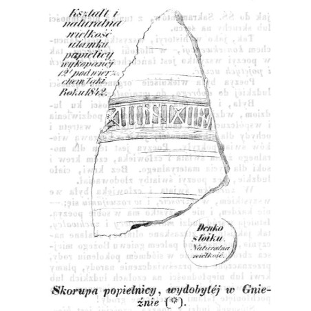 "Skorupa popielnicy, wydobytéj w Gnieźnie (*)."