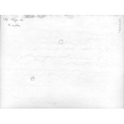 "Izabella Kawalec (na zdjęciu), pielęgniarka z Połczyna Zdroju, większość wolnego od zajęć czasu poświęca rzeźbie w drzewie, któ