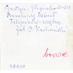 Gostyń (Głogówko) - kościół Filipinów
