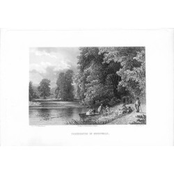 Parkpartie in Buchwald / "PARKPARTIE IN BUCHWALD."