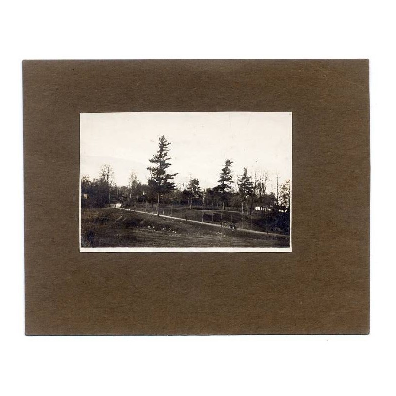 "Sosny na Żelaznej Wodzie. Lwów 23/III 1913. fot. K. Zuber"
