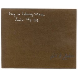"Sosny na Żelaznej Wodzie. Lwów 23/III 1913. fot. K. Zuber"