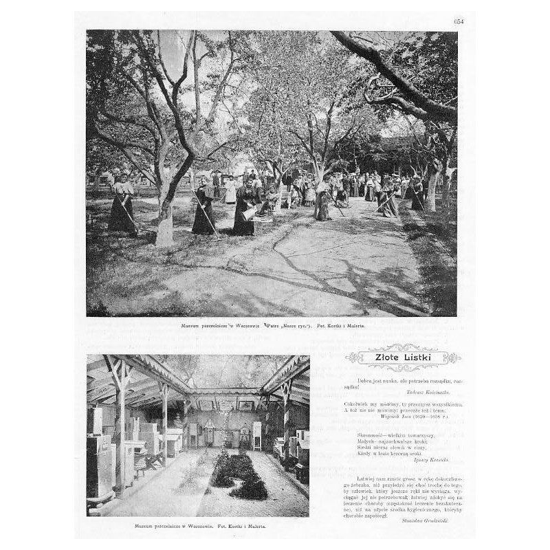 [1] "Muzeum pszczelnicze w Warszawie [...]. Fot. Kostki i Mulerta." [2] "Muzeum pszczelnicze w Warszawie. Fot. Kostki i Mulerta