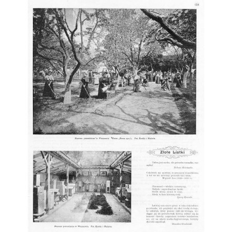 [1] "Muzeum pszczelnicze w Warszawie [...]. Fot. Kostki i Mulerta." [2] "Muzeum pszczelnicze w Warszawie. Fot. Kostki i Mulerta