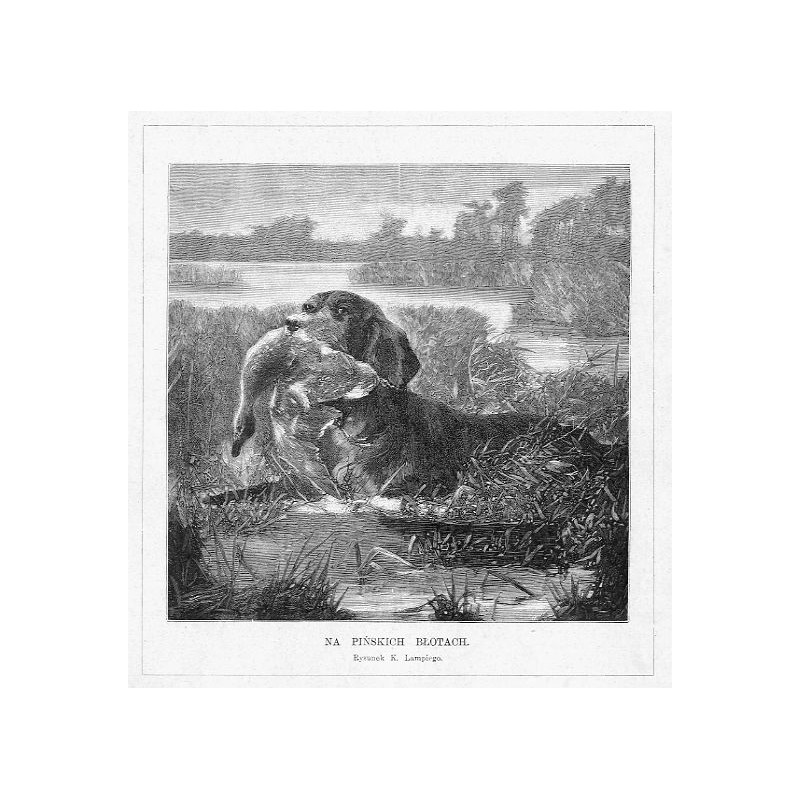 "NA PIŃSKICH BŁOTACH. Rysunek K. Lampiego."