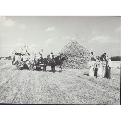 "Dożynki"