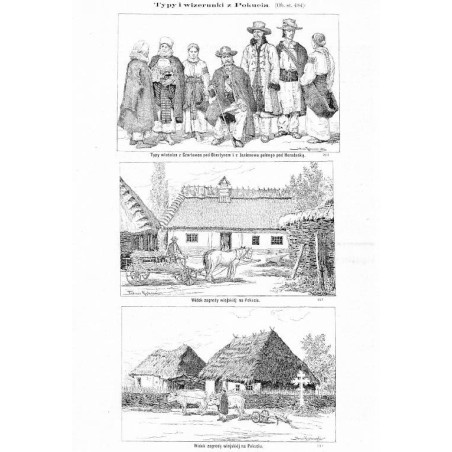 "Typy i wizerunki z Pokucia [...]" [1] "Typy włościan z Czortowca pod Obertynem i z Jasienowa polnego pod Horodenką. (986") [2]