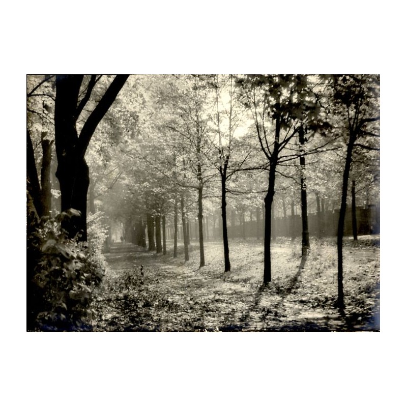 "Gliwice. Ul. Sienkiewicza. [...] Październik. 1956. r W. J."