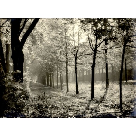 "Gliwice. Ul. Sienkiewicza. [...] Październik. 1956. r W. J."
