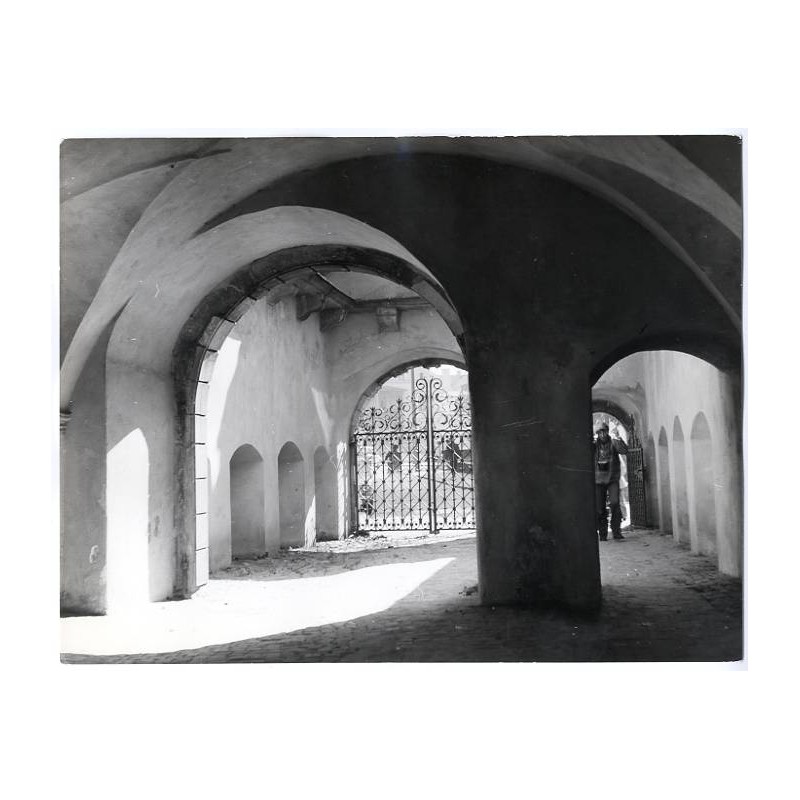 Oleśnica. Zamek