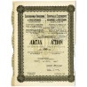 Elektrownia Okręgowa w Pruszkowie S.A. Akcja 100 zł na okaziciela. Warszawa 1929