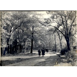 Park im. Fryderyka Chopina w Gliwicach