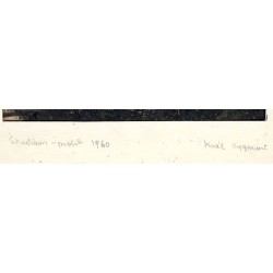 Studium - profil
