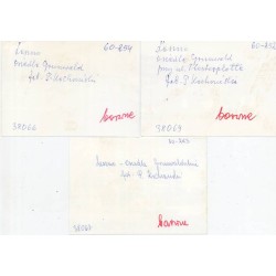 Leszno. Osiedle Grunwald