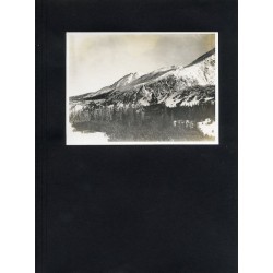 "31. WIDOK NA KOSZYSTĄ."