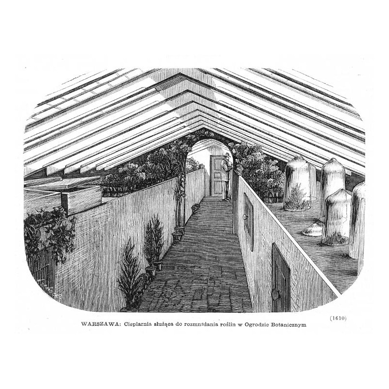 "WARSZAWA. Cieplarnia służąca do rozmnażania roślin w Ogrodzie Botanicznym (1610)"