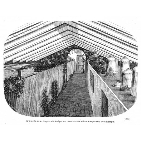 "WARSZAWA. Cieplarnia służąca do rozmnażania roślin w Ogrodzie Botanicznym (1610)"