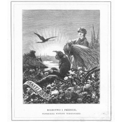 "ROLNICTWO I PRZEMYSŁ. WSPOMNIENIE Z WYSTAWY WARSZAWSKIÉJ."