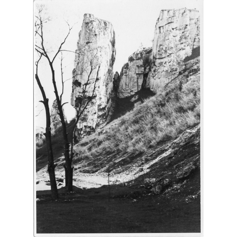 "Z dol. Prądnika - p. Olkusz wojw. Kraków [...] Fot. W. Walczak /Kraków/"