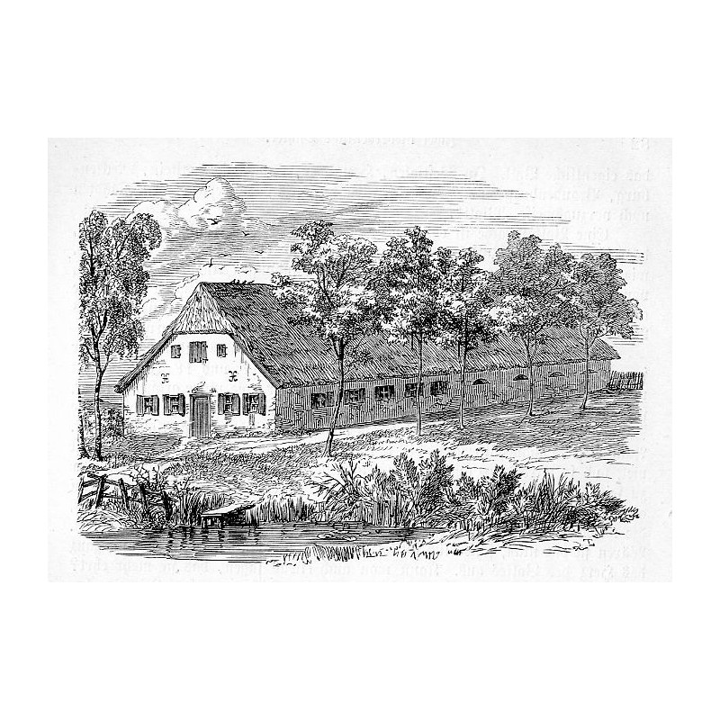 Lübeck okolice drzeworyt